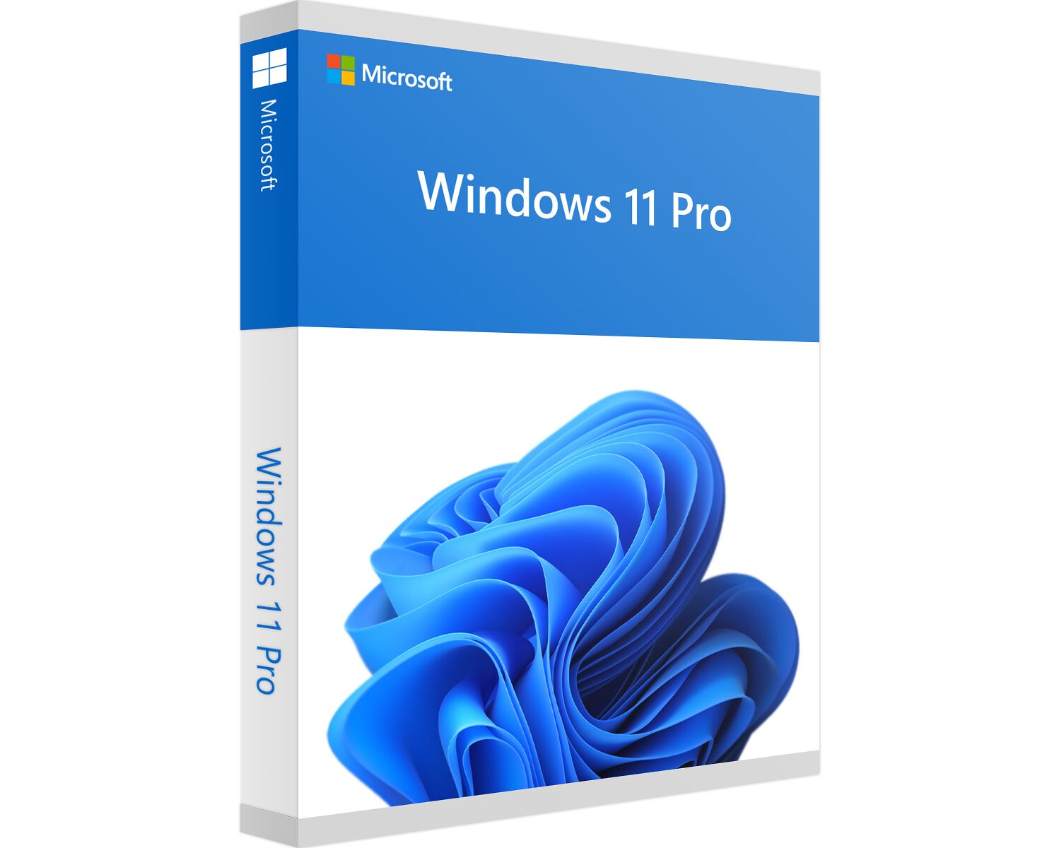 Windows 11 Professional Retail