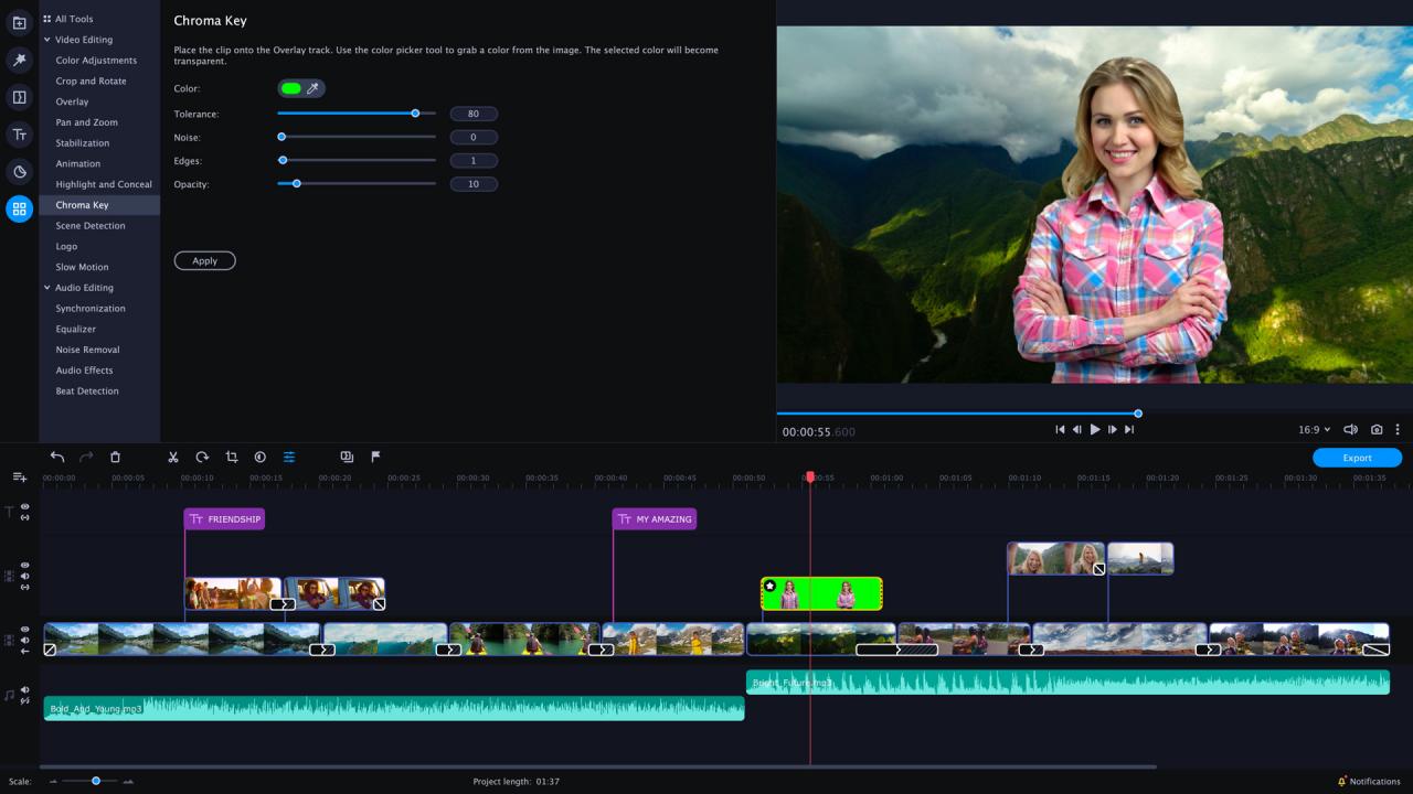 Movavi Video Editor Plus 2026 Key (Lifetime / 1 PC) screenshot 3